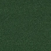 4174071 Forest