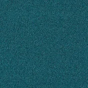 4174072 Petrol