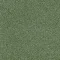 4175078 Olive