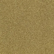 4175083 Gold