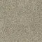 4176045 Biscuit