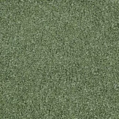 4176053 Olive