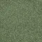 4176053 Olive