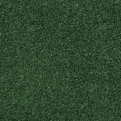 4176054 Forest