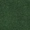 4176054 Forest
