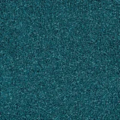 4176055 Petrol