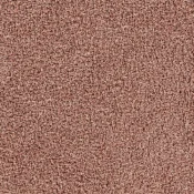 4176057 Blush