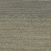4191004 Elm