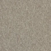 4197002 Truffle