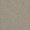 4197002 Truffle