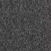 4197003 Shadow