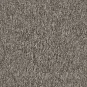 4197005 Praline