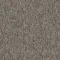 4197005 Praline