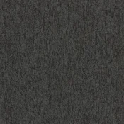 4197006 Shale