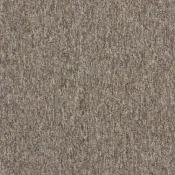 4197007 Nutmeg