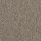 4197007 Nutmeg