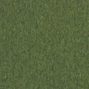 4197018 Eden
