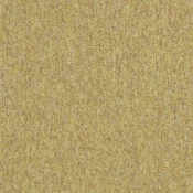 4197031 Sands