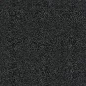 4200002 Anthrazite