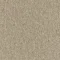 4219001 Sandstone