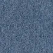 4219009 Mineral
