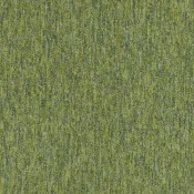 4219013 Lime
