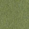 4219013 Lime