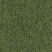 4219014 Ivy