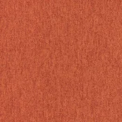 4219015 Tangerine