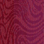 4236008 Magenta