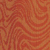 4236009 Tangerine