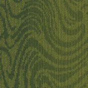 4236011 Emerald