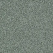 4265001 Drizzle