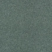 4265002 Dolphin