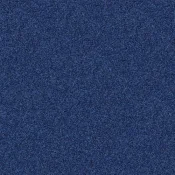 4265011 Lobelia