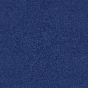 4265015 Mazarine