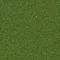4265016 Cactus