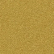 4265018 Buttercup
