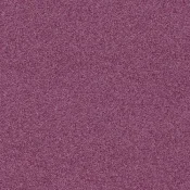 4265019 Rosebud
