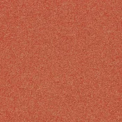 4265022 Nectarine