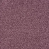 4265024 Mulberry