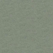 4266005 Silk Grey