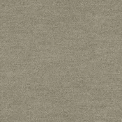 4266007 Shiitake