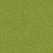 4266012 Peridot