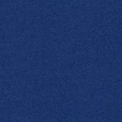 4266015 Blue Nights