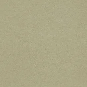 4266017 Turtledove