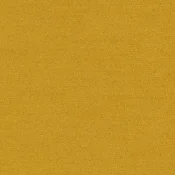 4266018 Mimosa