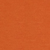 4266022 Carrot