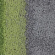 4274003 Olive-Seclusion