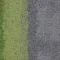 4274003 Olive-Seclusion